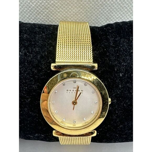 Skagen 107SGGD Women\'s Gold Tone Stainless Steel Analog Dial Quartz Watch AEA209 main image 5